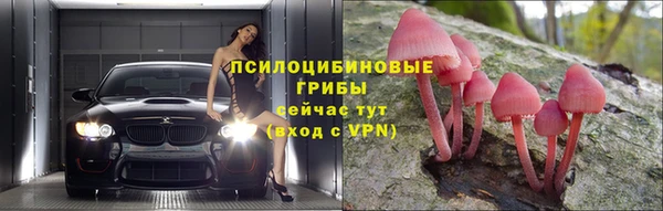 соль ск Алзамай