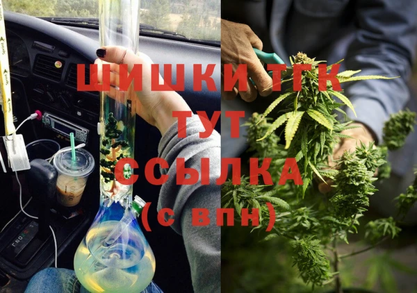 соль ск Алзамай