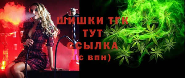 соль ск Алзамай