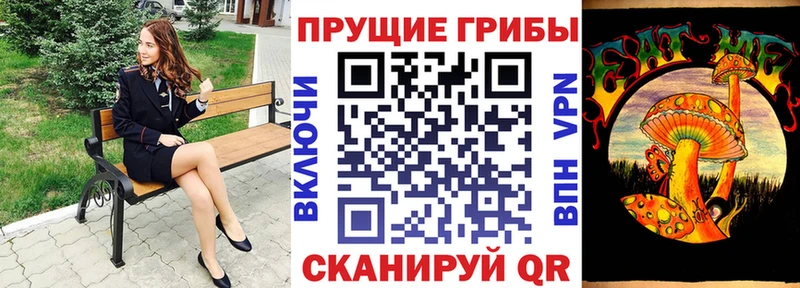 купить наркоту  Сасово  Псилоцибиновые грибы MAGIC MUSHROOMS 